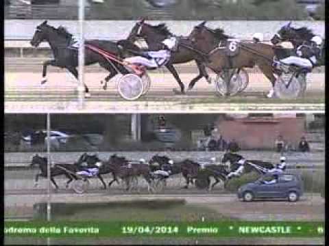 6° CORSA  del 19 Aprile 2014