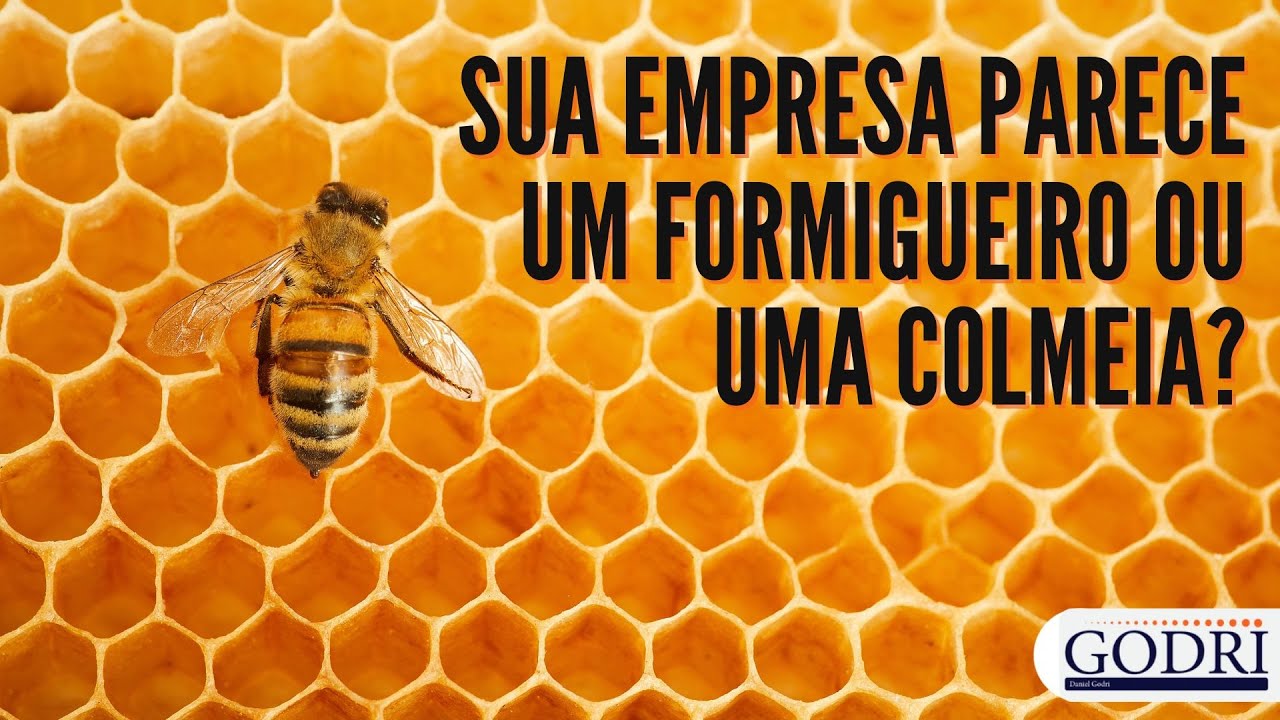 Sua empresa parece um formigueiro ou uma colmeia?