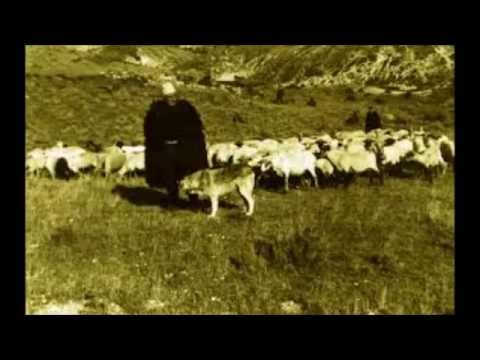 VOGELUSHE VOGELO   GRUPI POLIFONIK  "JEHONA LABE"