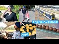 Beautiful Road Journey from Kaimai Mountains to Auckland || Summer Vibes || Excitement of Train