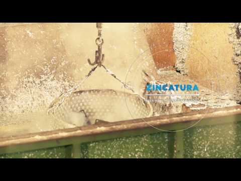 download lagu mp3 mp4 Zitac, download lagu Zitac gratis, unduh video klip Zitac