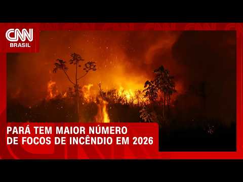 Pará tem a maior quantidade de focos de incêndio no Brasil em 2026; entenda | BASTIDORES CNN