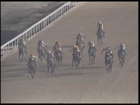 2019-01-25 Race 3(0135) - THE LEICESTER