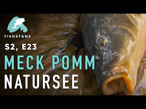 S2E23 - MV Gold - FISHSTONE's Angelwelten