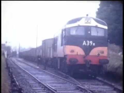 CIÉ Passenger / Beet Trains @ Mogeely, Cork (1972)