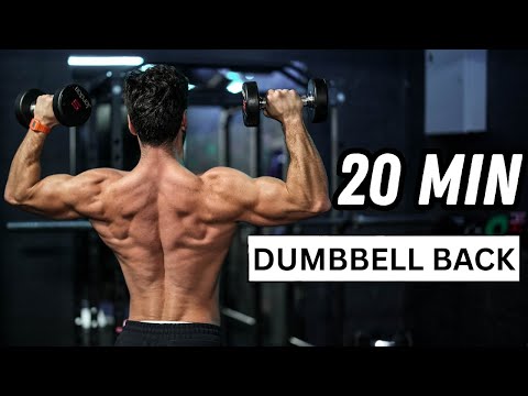 20 Minute Dumbbell Back Workout | No Bench | Rowan Row