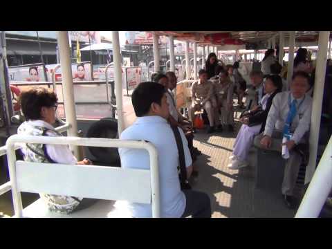 Timur Bagautdinov vedushi