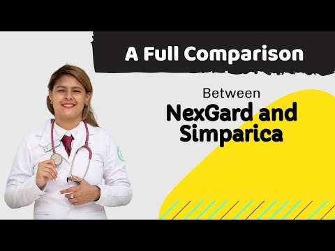 NexGard vs Simparica: a full comparison