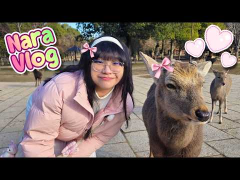Feeding Deer in Nara! +more | Japan Nara Vlog ⋆˚𝜗𝜚˚⋆