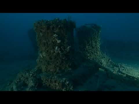 Vidéo du Haven 2022