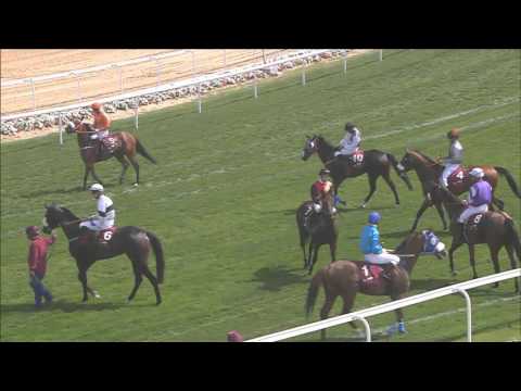 35th Race Meeting of Season 2015 / 2016