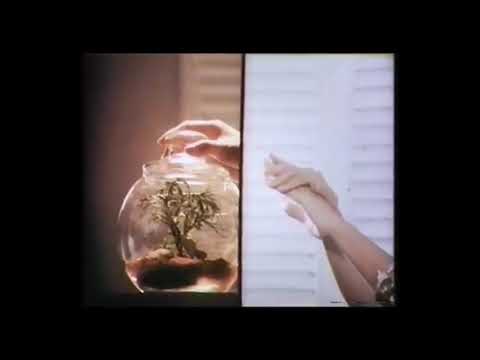 Vaseline Intensive Care Lotion TVC (1981)