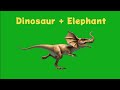 Animal Running On Green Screen Background Zoo Animal Stampede Animal Merge Animal Cartoon