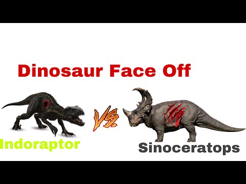 Dinosaur Face Off Indoraptor vs Sinoceratops