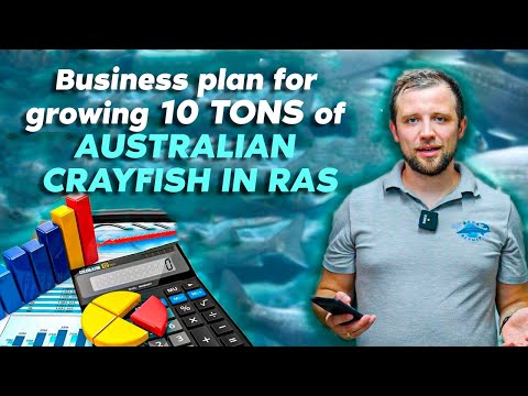 , title : 'Business PLAN for GROWING 10 tons of AUSTRALIAN CRAYFISH in RAS | Business IDEAS | STARTUP'