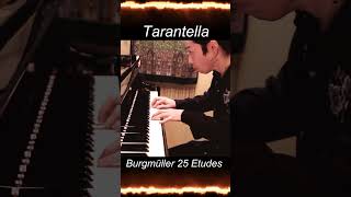 Download lagu 大人でも弾くのが難しいピアノ曲 | Burgmuller 25 Etudes Tarantella op100 mp3