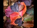 Give Thanks With A Greatful Heart