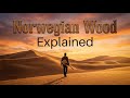 Norwegian Wood Explained | Haruki Murakami’s Most Haunting Novel in 5 Minutes
