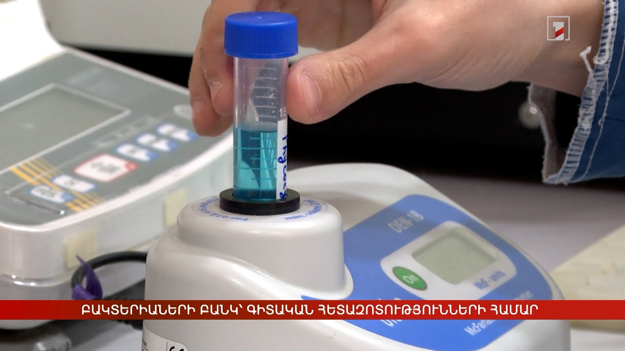 Բակտերիաների բանկ՝ գիտական հետազոտությունների համար