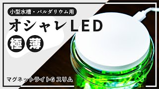 【ADA DOOA 新商品】マグネットライトGスリム スペック・使い方を紹介!マグネットライトGとの比較もあり【アクアリウム・パルダリウム用植物育成LEDレビュー】