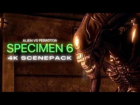 Specimen 6 4k scene pack alien vs predator