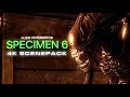 Specimen 6 4k Scene Pack Alien Vs Predator