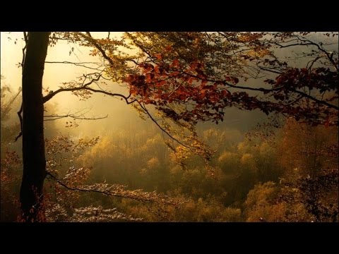Frédéric Chopin - Prelude in E Minor Op. 28 No. 4