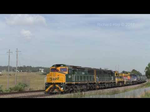 SSR C509, C510, 4917, 4911 & C505 - Loaded Grain - 29th November 2016