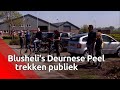 Op- en af vliegende chinooks trekken publiek in Deurnese Peel