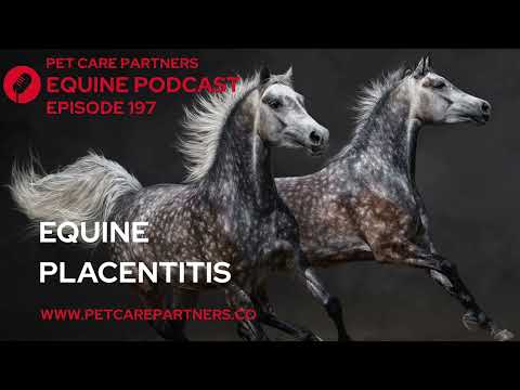 EP. 197: Placentitis in Horses: Causes, Diagnosis & Treatment | Pet Care Partners