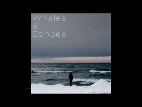Whales & Echoes - Cold