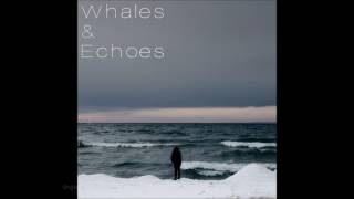 Whales & Echoes - Cold