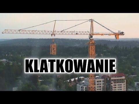 Klatkowanie Żurawia Wieżowego