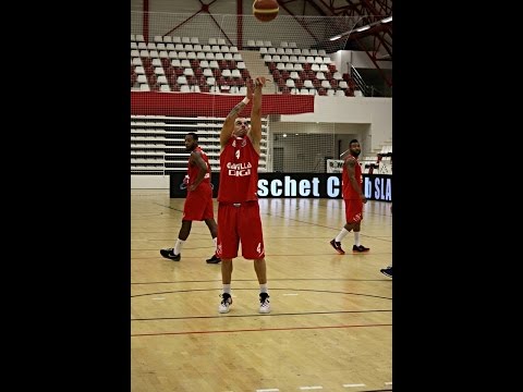 Mandache dish to Nuhanovic