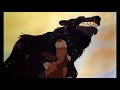 The Fox And The Hound Bear Scene W DB Super Music