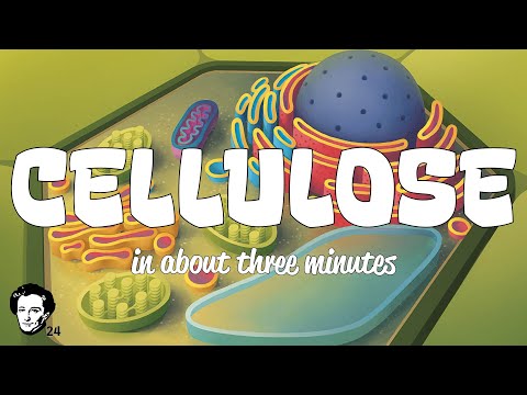 Cellulose in about 3 minutes