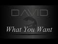 What You Want - Lyrics