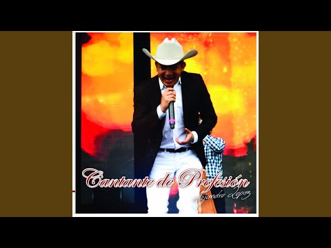 Cantante de Profesión