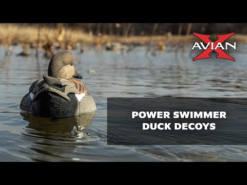 Avian X Power Swimmers