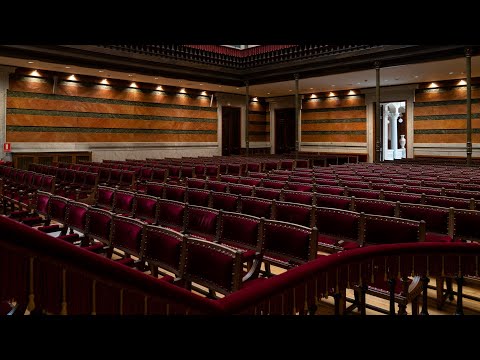 🤯📚 SANCHEZ CREARA LA ACADEMIA SANCHISTA DE LA LENGUA TRAS CARGARSE A LA RAE 🤯📚