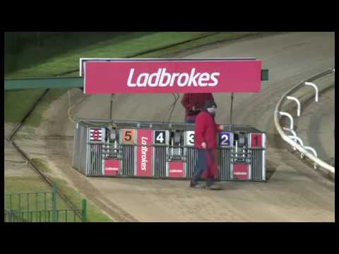 Droopys Addition - Ladbrokes Trafalgar Cup Final 2019