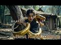 Kung Fu Movie The Useless Lad Is Fed To A Giant Snake But Absorbs Its Power And Becomes A Master