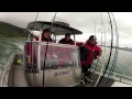 Target Halibut