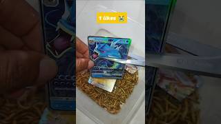 please my pokemon card is very expensive #pokemon #pokemontcg #pokemoncards #pokemonchannel