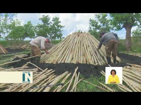 Campesinos de Cienfuegos mantienen producción pese al bloqueo