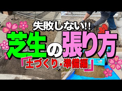 芝生の上で木灰を使用するにはどうすればよいですか?彼らの利点は何ですか?  庭園