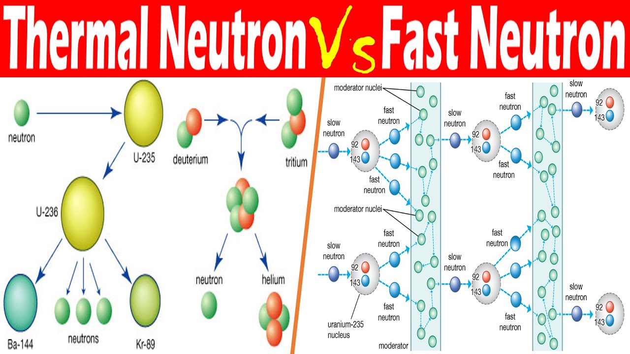 What is the difference between fast and thermal neutrons? Tipseri