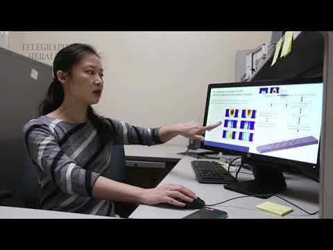 Using ultrasound technology to inspect the structural integrity of concrete bridges