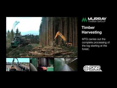 Murray Timber Group Sawmill