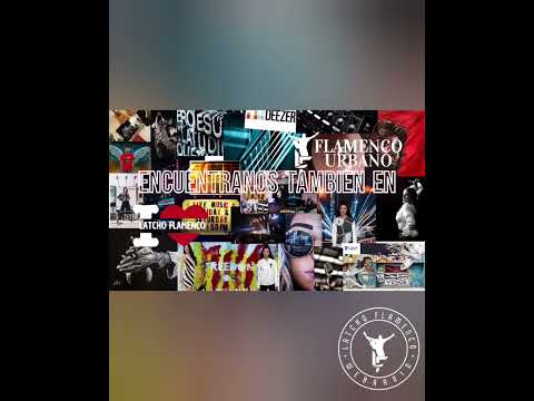 Como canta esta chica es ESPECTACULAR 🥰 PILAR BOGADO🧡💯👏